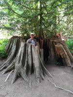 164 Vancouver Island - McMillan Provincial Park