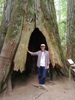 165 Vancouver Island - McMillan Provincial Park