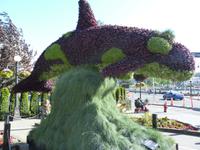 207 Vancouver Island - Victoria