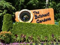214 Vancouver Island - Butchart Gardens