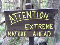 242 Vancouver - Capilano Suspension Bridge