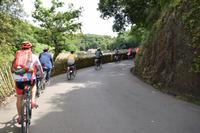 entspannte Bergab-Fahrt durch das 