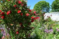 Im Garten in La Seigneurie