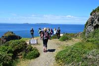 Ausblick vom Trail zum Window on the Rock