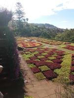 Botanische Garten Funchal
