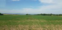 Blick auf den Großen Jasmunder Bodden