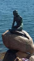 Kopenhagen Kleine Meerjungfrau