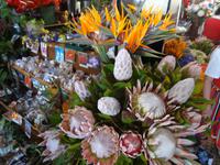 Markthalle Funchal