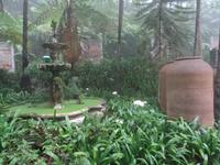 Tropical Garden in Monte 