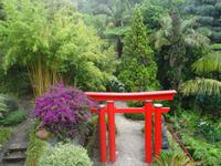 Tropical Garden in Monte 