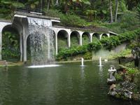 Tropical Garden in Monte 