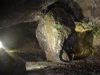 Sa Vicente - in den Lava-Grotten - Elefant aus Stein