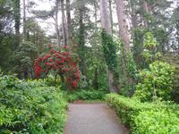 Glenveagh Garden