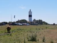 Insel Öland Südspitze Lange Jahn
