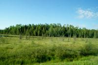 Unterwegs in Ontario (5)