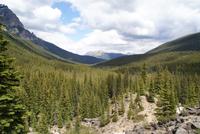 Ausblick vom  Morraine Lake.