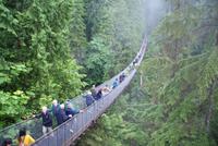 Capilano Suspension Bridge (5)