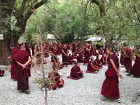 Lhasa - Sera Kloster, Debattierstunde
