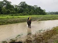 Chitwan Nationalpark - Elefanten-Safari