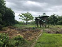 Chitwan Nationalpark - Safari
