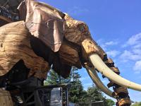 Charmanter Augenaufschlag...