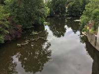 La  Sevre Nantaise 