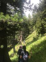 Schatten gesucht