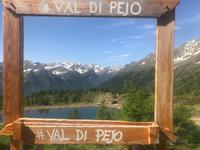 selbsterklärend ...