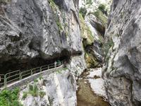 Wanderung an der Ruta del Cares im Nationalpark Picos de Europa (67)