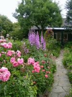 Gartenpracht van Huet