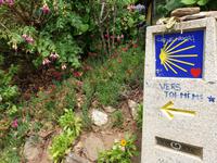 Wanderung auf dem Jakobsweg von Salceda nach Lavacolla (16)