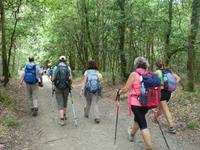 Wanderung auf dem Jakobsweg von Salceda nach Lavacolla (29)