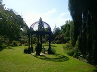 Wiese im Garten Hübbers