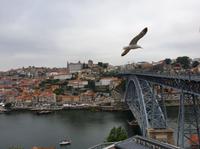 Porto in Portugal (3)