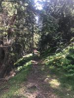 traumhafter Weg