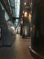 in der Weinkelterei