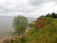 Estland_Peipussee_Kallaste (2)