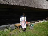 Estland_Tallin_Freilichtmuseum (4)