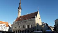 Estland_Tallin_Rathaus (5)