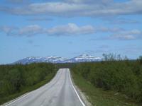 Birkenwaldzone in der Finnmark
