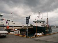 Molde