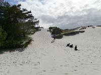 Bornholm Dueodde weißer Strand an der Südspitze