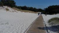 Bornholm Dueodde weißer Strand an der Südspitze