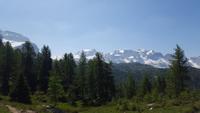 Adamello Brenta Gruppe