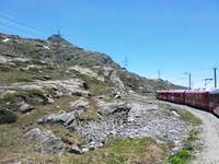 Fahrt mit dem Bernina-Expess