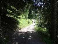 Davos, Schatzalp, Thomas Mann Wanderweg