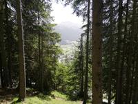 Davos, Schatzalp, Thomas Mann Wanderweg