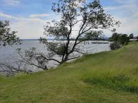 1264 Das ehemals schwedisch königliche Schloss wurde bereits 1318 in einer Schlacht größtenteils zerstört 