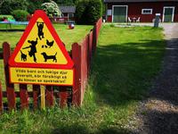 1512 Überall wilde Kinder und verrückte Tiere! Fahren Sie vorsichtig, damit Sie das Spektakel sehen können!