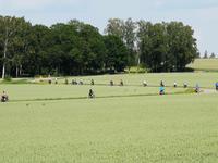 1520 Gern gesehen vom „letzten Mann“ - Die Gruppe bleibt zusammen